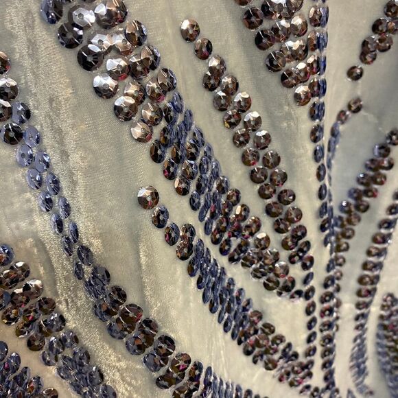 Alfani Sky Blue Velvet Sequins Batwing Top - Picture 6 of 6